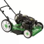 CORTADOR DE GRAMA À GASOLINA LF-600RM 6,5HP 4T TRAPP-12866